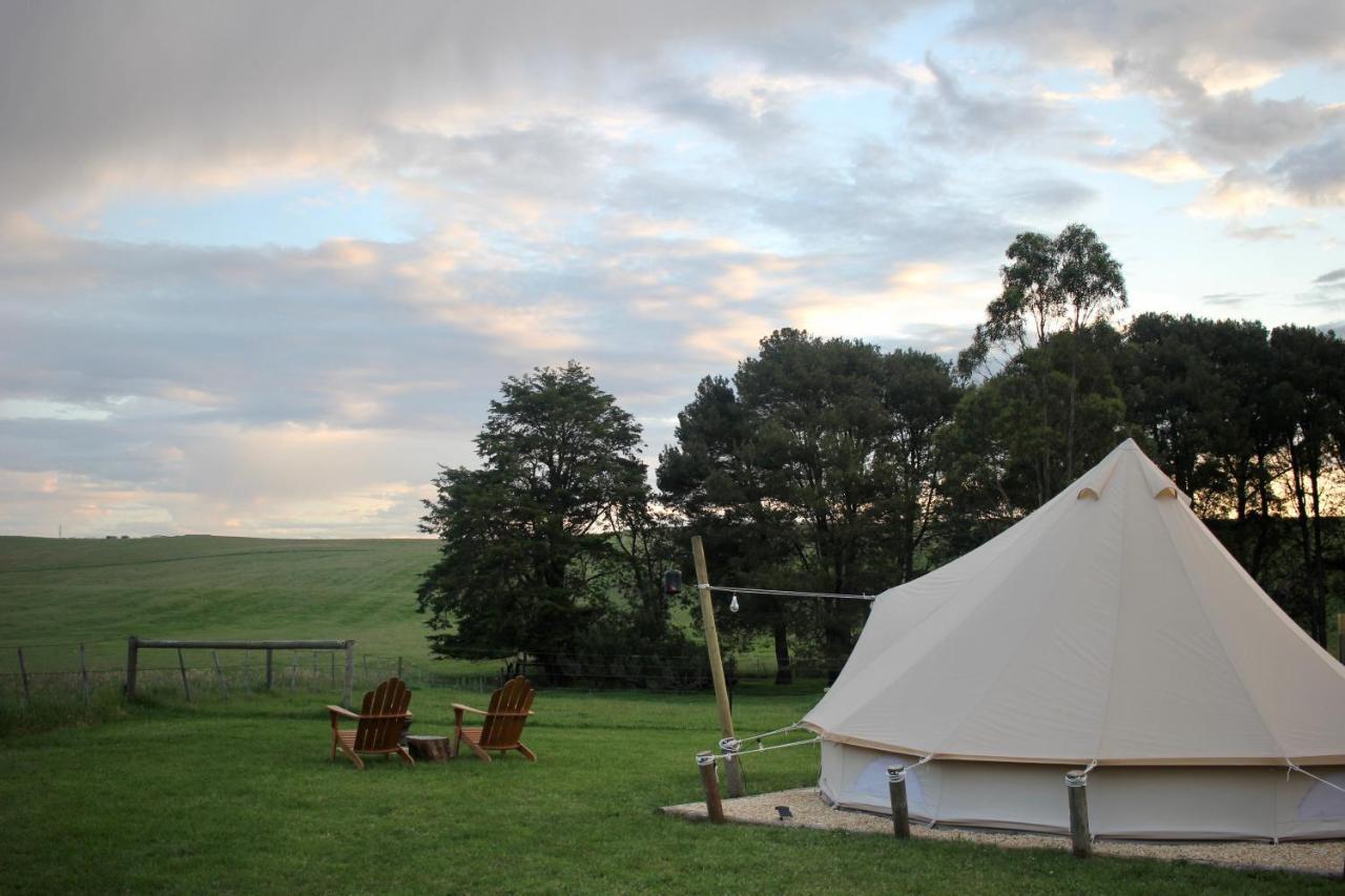 Pine Country Caravan Park مونت غامبير المظهر الخارجي الصورة