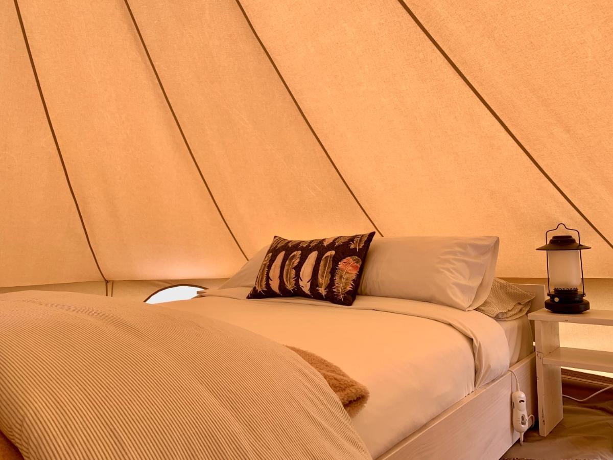 Pine Country Caravan Park مونت غامبير المظهر الخارجي الصورة