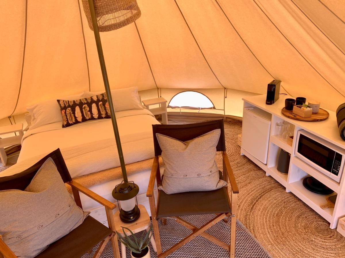 Pine Country Caravan Park مونت غامبير المظهر الخارجي الصورة