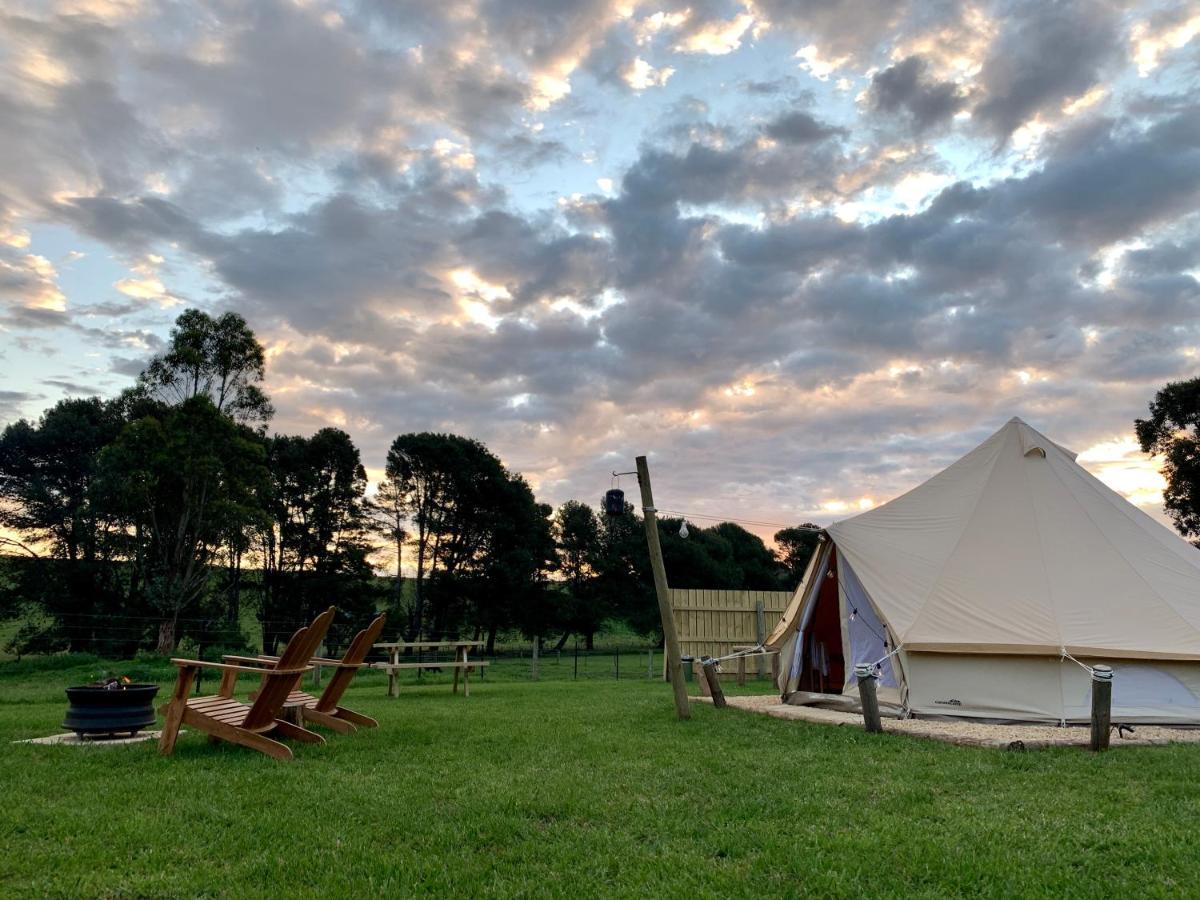 Pine Country Caravan Park مونت غامبير المظهر الخارجي الصورة