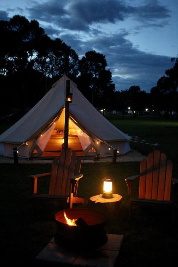 Pine Country Caravan Park مونت غامبير المظهر الخارجي الصورة