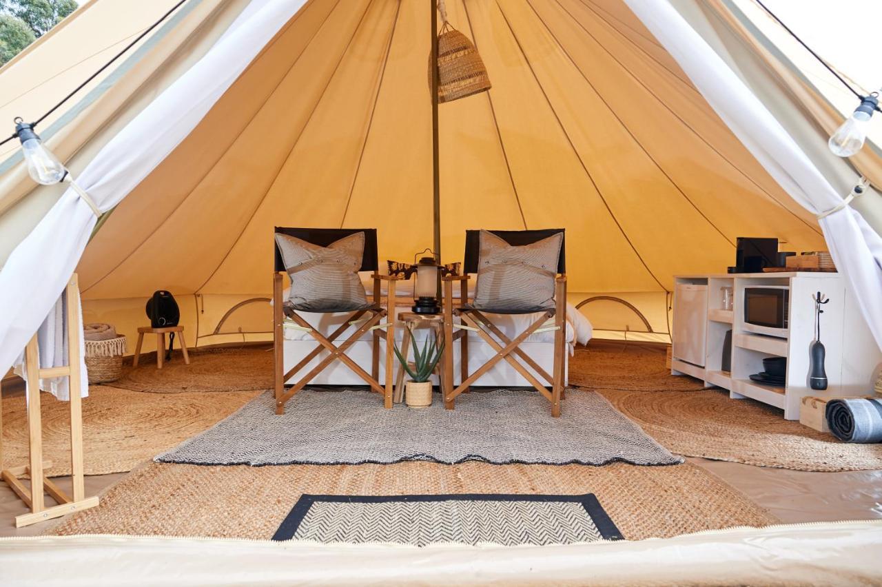 Pine Country Caravan Park مونت غامبير المظهر الخارجي الصورة