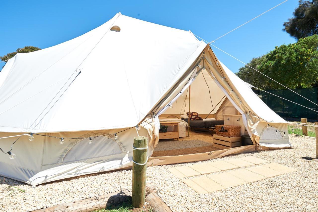 Pine Country Caravan Park مونت غامبير المظهر الخارجي الصورة